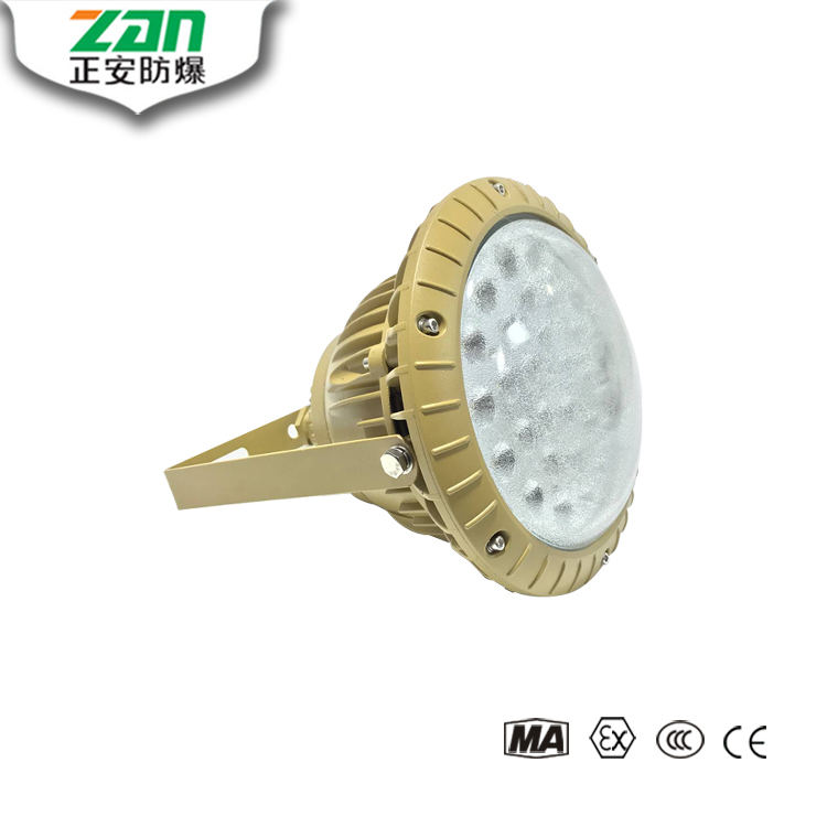 推薦產品ZAD301 LED免維護防爆燈照片